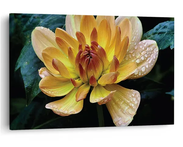 Multicolor_16_X_24_Inch,_Pine_Wood_Framed_Canvas_Paintings_|_For_Home_Decor,_Ready_To_Wall_Hanging,_Premium_Painting_|_For_|_Bedroom,_Living_Room,_Office_Wall_Decoration_|_Wall_Art_Painting,_Ct2313