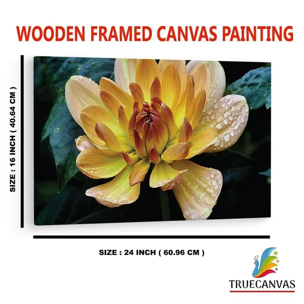 Multicolor_16_X_24_Inch,_Pine_Wood_Framed_Canvas_Paintings_|_For_Home_Decor,_Ready_To_Wall_Hanging,_Premium_Painting_|_For_|_Bedroom,_Living_Room,_Office_Wall_Decoration_|_Wall_Art_Painting,_Ct2313