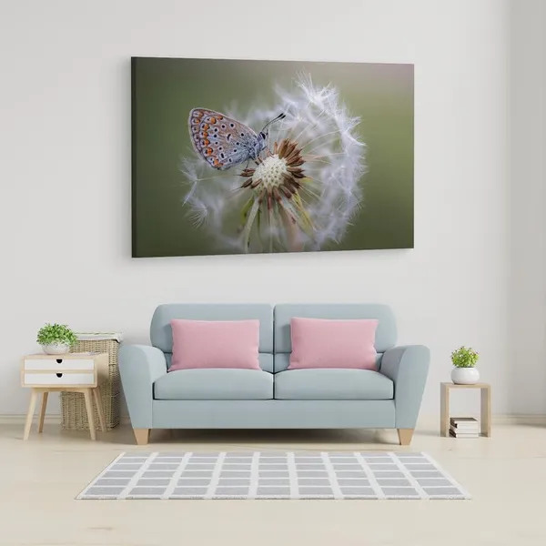 Multicolor_16_X_24_Inch,_Pine_Wood_Framed_Canvas_Paintings_|_For_Home_Decor,_Ready_To_Wall_Hanging,_Premium_Painting_|_For_|_Bedroom,_Living_Room,_Office_Wall_Decoration_|_Wall_Art_Painting,_Ct2314