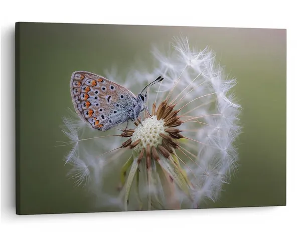 Multicolor_16_X_24_Inch,_Pine_Wood_Framed_Canvas_Paintings_|_For_Home_Decor,_Ready_To_Wall_Hanging,_Premium_Painting_|_For_|_Bedroom,_Living_Room,_Office_Wall_Decoration_|_Wall_Art_Painting,_Ct2314