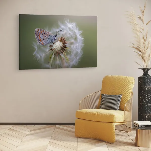 Multicolor_16_X_24_Inch,_Pine_Wood_Framed_Canvas_Paintings_|_For_Home_Decor,_Ready_To_Wall_Hanging,_Premium_Painting_|_For_|_Bedroom,_Living_Room,_Office_Wall_Decoration_|_Wall_Art_Painting,_Ct2314