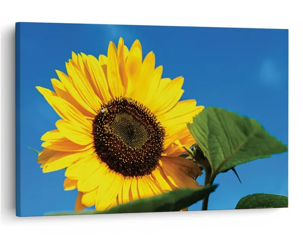Multicolor_16_X_24_Inch,_Pine_Wood_Framed_Canvas_Paintings_|_For_Home_Decor,_Ready_To_Wall_Hanging,_Premium_Painting_|_For_|_Bedroom,_Living_Room,_Office_Wall_Decoration_|_Wall_Art_Painting,_Ct2315