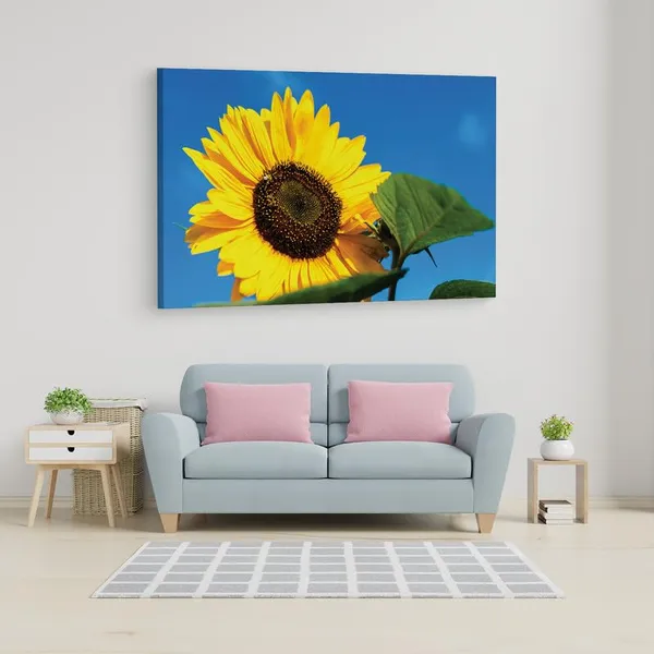 Multicolor_16_X_24_Inch,_Pine_Wood_Framed_Canvas_Paintings_|_For_Home_Decor,_Ready_To_Wall_Hanging,_Premium_Painting_|_For_|_Bedroom,_Living_Room,_Office_Wall_Decoration_|_Wall_Art_Painting,_Ct2315