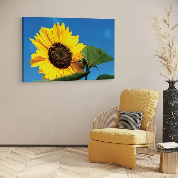 Multicolor_16_X_24_Inch,_Pine_Wood_Framed_Canvas_Paintings_|_For_Home_Decor,_Ready_To_Wall_Hanging,_Premium_Painting_|_For_|_Bedroom,_Living_Room,_Office_Wall_Decoration_|_Wall_Art_Painting,_Ct2315
