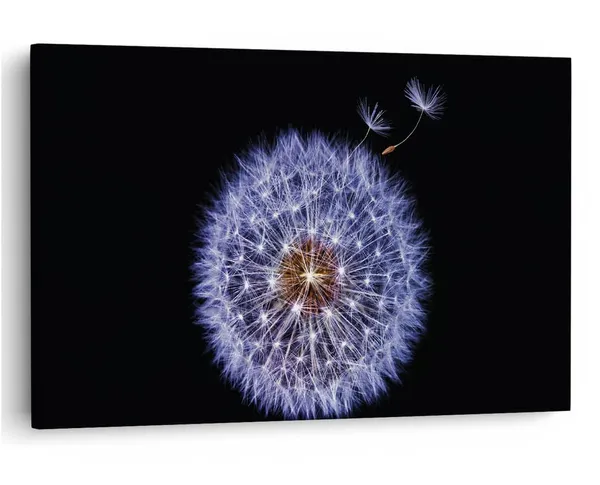 Multicolor_16_X_24_Inch,_Pine_Wood_Framed_Canvas_Paintings_|_For_Home_Decor,_Ready_To_Wall_Hanging,_Premium_Painting_|_For_|_Bedroom,_Living_Room,_Office_Wall_Decoration_|_Wall_Art_Painting,_Ct2316