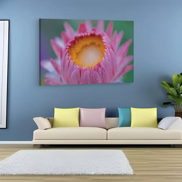 Multicolor_16_X_24_Inch,_Pine_Wood_Framed_Canvas_Paintings_|_For_Home_Decor,_Ready_To_Wall_Hanging,_Premium_Painting_|_For_|_Bedroom,_Living_Room,_Office_Wall_Decoration_|_Wall_Art_Painting,_Ct2318