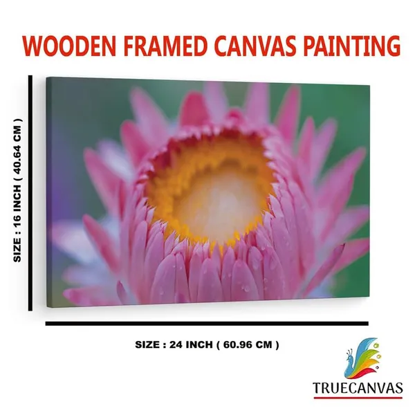 Multicolor_16_X_24_Inch,_Pine_Wood_Framed_Canvas_Paintings_|_For_Home_Decor,_Ready_To_Wall_Hanging,_Premium_Painting_|_For_|_Bedroom,_Living_Room,_Office_Wall_Decoration_|_Wall_Art_Painting,_Ct2318