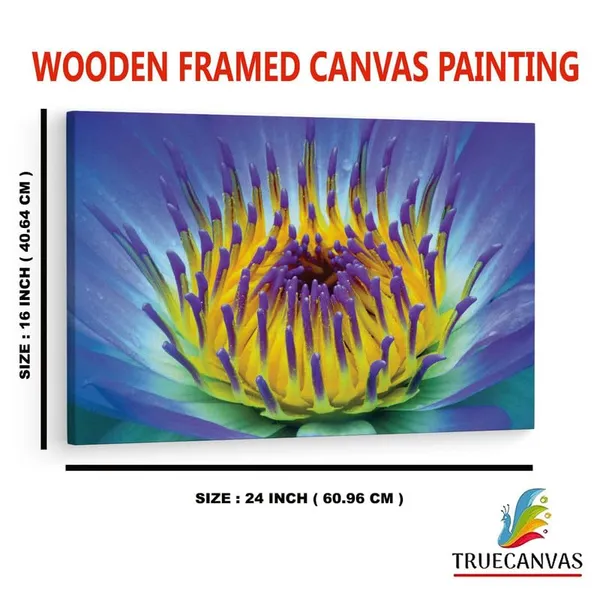 Multicolor_16_X_24_Inch,_Pine_Wood_Framed_Canvas_Paintings_|_For_Home_Decor,_Ready_To_Wall_Hanging,_Premium_Painting_|_For_|_Bedroom,_Living_Room,_Office_Wall_Decoration_|_Wall_Art_Painting,_Ct2321