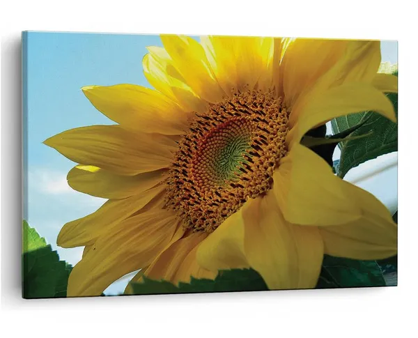 Multicolor_16_X_24_Inch,_Pine_Wood_Framed_Canvas_Paintings_|_For_Home_Decor,_Ready_To_Wall_Hanging,_Premium_Painting_|_For_|_Bedroom,_Living_Room,_Office_Wall_Decoration_|_Wall_Art_Painting,_Ct2322