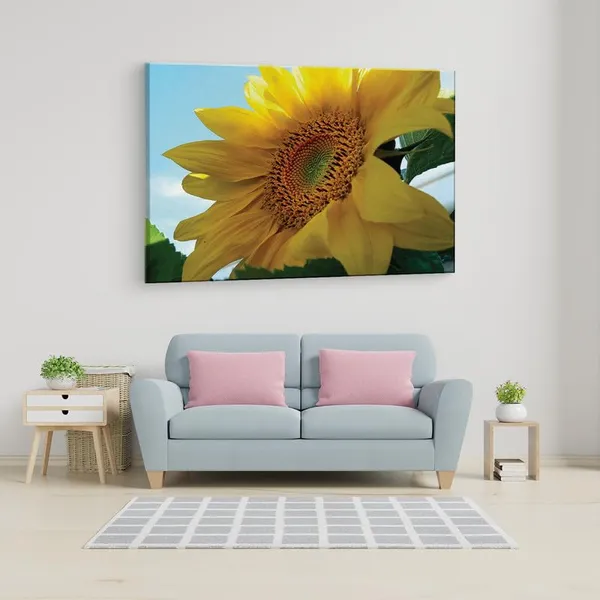 Multicolor_16_X_24_Inch,_Pine_Wood_Framed_Canvas_Paintings_|_For_Home_Decor,_Ready_To_Wall_Hanging,_Premium_Painting_|_For_|_Bedroom,_Living_Room,_Office_Wall_Decoration_|_Wall_Art_Painting,_Ct2322