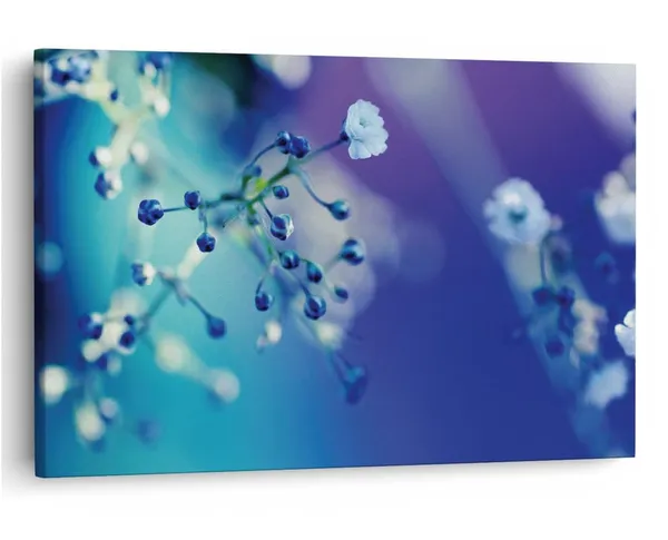Multicolor_16_X_24_Inch,_Pine_Wood_Framed_Canvas_Paintings_|_For_Home_Decor,_Ready_To_Wall_Hanging,_Premium_Painting_|_For_|_Bedroom,_Living_Room,_Office_Wall_Decoration_|_Wall_Art_Painting,_Ct2323