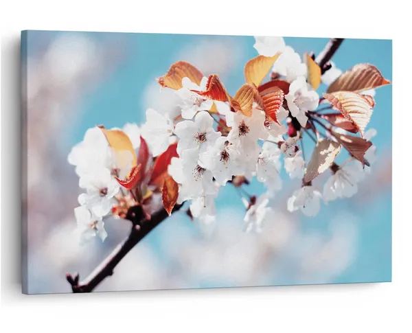 Multicolor_16_X_24_Inch,_Pine_Wood_Framed_Canvas_Paintings_|_For_Home_Decor,_Ready_To_Wall_Hanging,_Premium_Painting_|_For_|_Bedroom,_Living_Room,_Office_Wall_Decoration_|_Wall_Art_Painting,_Ct2324
