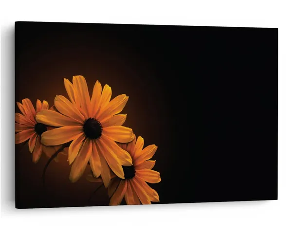 Multicolor_16_X_24_Inch,_Pine_Wood_Framed_Canvas_Paintings_|_For_Home_Decor,_Ready_To_Wall_Hanging,_Premium_Painting_|_For_|_Bedroom,_Living_Room,_Office_Wall_Decoration_|_Wall_Art_Painting,_Ct2325