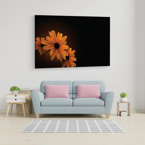 Multicolor_16_X_24_Inch,_Pine_Wood_Framed_Canvas_Paintings_|_For_Home_Decor,_Ready_To_Wall_Hanging,_Premium_Painting_|_For_|_Bedroom,_Living_Room,_Office_Wall_Decoration_|_Wall_Art_Painting,_Ct2325