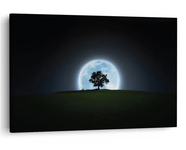 Multicolor_16_X_24_Inch,_Pine_Wood_Framed_Canvas_Paintings_|_For_Home_Decor,_Ready_To_Wall_Hanging,_Premium_Painting_|_For_|_Bedroom,_Living_Room,_Office_Wall_Decoration_|_Wall_Art_Painting,_Ct2326