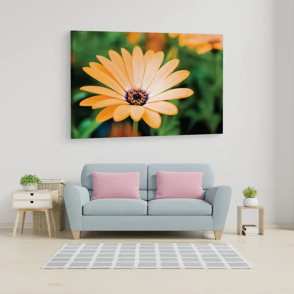 Multicolor_16_X_24_Inch,_Pine_Wood_Framed_Canvas_Paintings_|_For_Home_Decor,_Ready_To_Wall_Hanging,_Premium_Painting_|_For_|_Bedroom,_Living_Room,_Office_Wall_Decoration_|_Wall_Art_Painting,_Ct2327