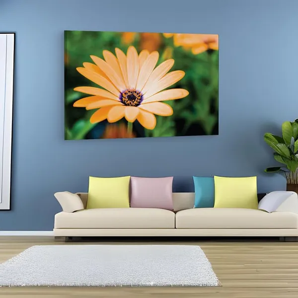 Multicolor_16_X_24_Inch,_Pine_Wood_Framed_Canvas_Paintings_|_For_Home_Decor,_Ready_To_Wall_Hanging,_Premium_Painting_|_For_|_Bedroom,_Living_Room,_Office_Wall_Decoration_|_Wall_Art_Painting,_Ct2327