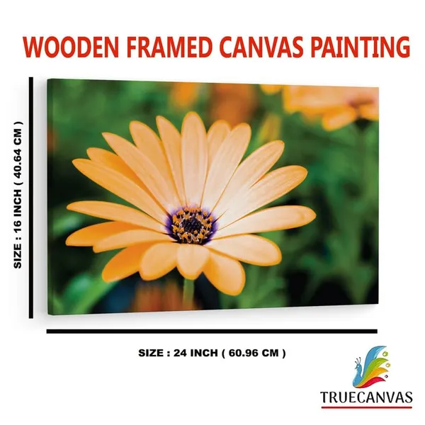 Multicolor_16_X_24_Inch,_Pine_Wood_Framed_Canvas_Paintings_|_For_Home_Decor,_Ready_To_Wall_Hanging,_Premium_Painting_|_For_|_Bedroom,_Living_Room,_Office_Wall_Decoration_|_Wall_Art_Painting,_Ct2327