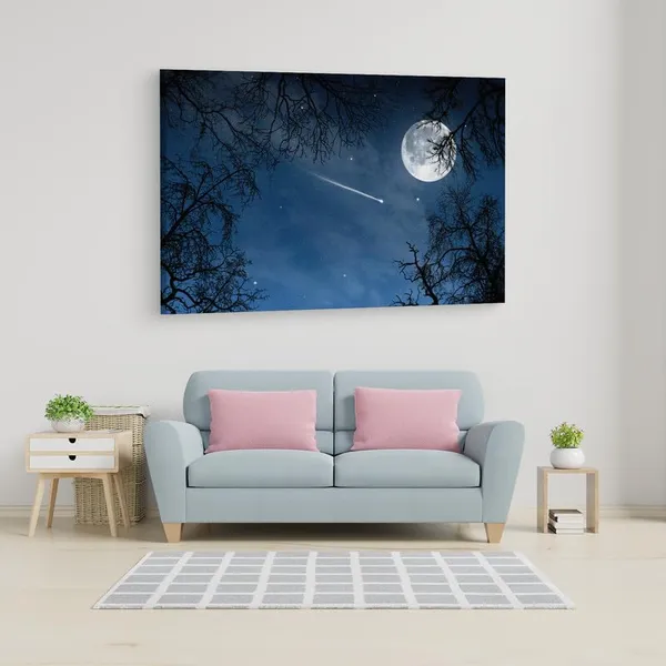 Multicolor_16_X_24_Inch,_Pine_Wood_Framed_Canvas_Paintings_|_For_Home_Decor,_Ready_To_Wall_Hanging,_Premium_Painting_|_For_|_Bedroom,_Living_Room,_Office_Wall_Decoration_|_Wall_Art_Painting,_Ct2329