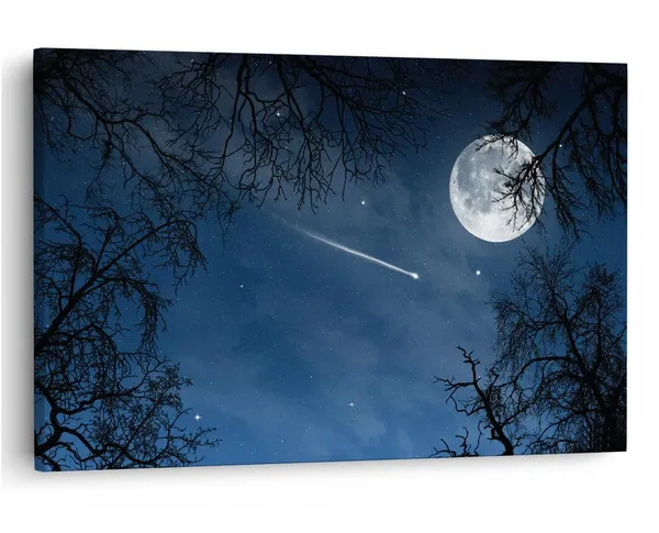 Multicolor_16_X_24_Inch,_Pine_Wood_Framed_Canvas_Paintings_|_For_Home_Decor,_Ready_To_Wall_Hanging,_Premium_Painting_|_For_|_Bedroom,_Living_Room,_Office_Wall_Decoration_|_Wall_Art_Painting,_Ct2330