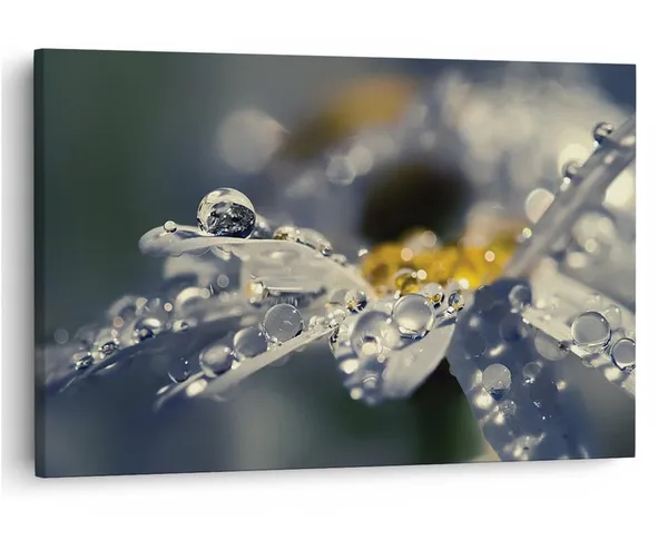 Multicolor_16_X_24_Inch,_Pine_Wood_Framed_Canvas_Paintings_|_For_Home_Decor,_Ready_To_Wall_Hanging,_Premium_Painting_|_For_|_Bedroom,_Living_Room,_Office_Wall_Decoration_|_Wall_Art_Painting,_Ct2336