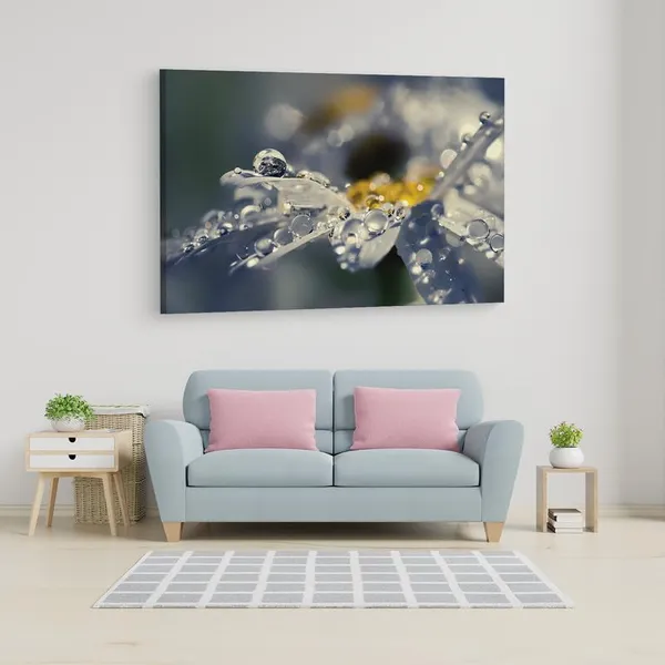 Multicolor_16_X_24_Inch,_Pine_Wood_Framed_Canvas_Paintings_|_For_Home_Decor,_Ready_To_Wall_Hanging,_Premium_Painting_|_For_|_Bedroom,_Living_Room,_Office_Wall_Decoration_|_Wall_Art_Painting,_Ct2336