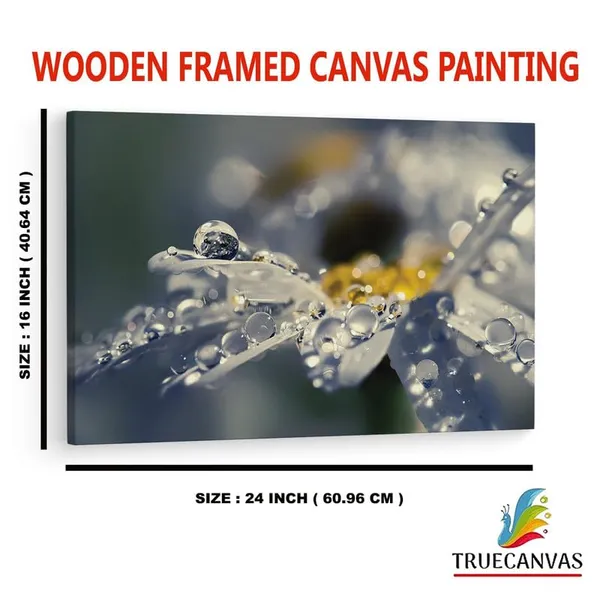 Multicolor_16_X_24_Inch,_Pine_Wood_Framed_Canvas_Paintings_|_For_Home_Decor,_Ready_To_Wall_Hanging,_Premium_Painting_|_For_|_Bedroom,_Living_Room,_Office_Wall_Decoration_|_Wall_Art_Painting,_Ct2336