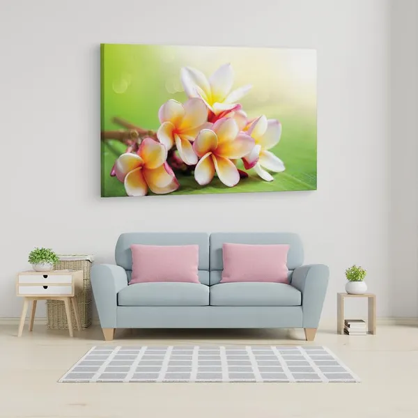 Multicolor_16_X_24_Inch,_Pine_Wood_Framed_Canvas_Paintings_|_For_Home_Decor,_Ready_To_Wall_Hanging,_Premium_Painting_|_For_|_Bedroom,_Living_Room,_Office_Wall_Decoration_|_Wall_Art_Painting,_Ct2337
