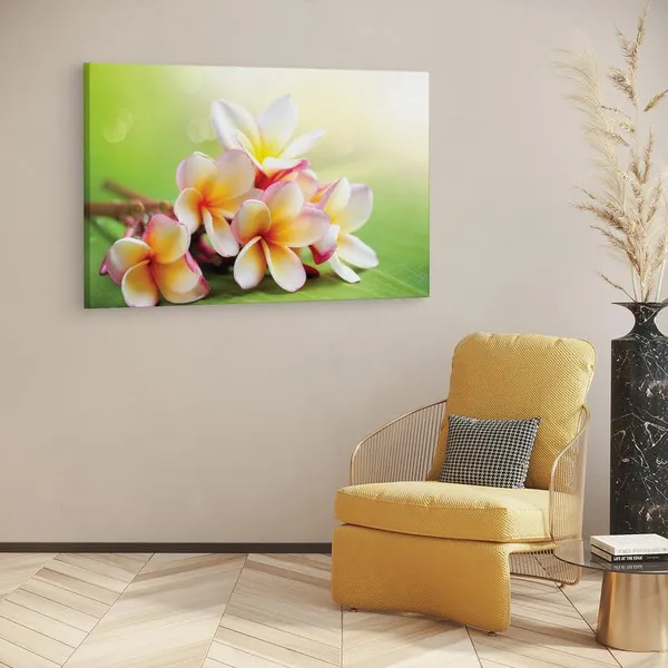 Multicolor_16_X_24_Inch,_Pine_Wood_Framed_Canvas_Paintings_|_For_Home_Decor,_Ready_To_Wall_Hanging,_Premium_Painting_|_For_|_Bedroom,_Living_Room,_Office_Wall_Decoration_|_Wall_Art_Painting,_Ct2337