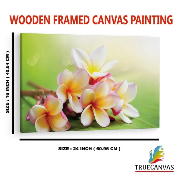 Multicolor_16_X_24_Inch,_Pine_Wood_Framed_Canvas_Paintings_|_For_Home_Decor,_Ready_To_Wall_Hanging,_Premium_Painting_|_For_|_Bedroom,_Living_Room,_Office_Wall_Decoration_|_Wall_Art_Painting,_Ct2337