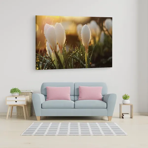 Multicolor_16_X_24_Inch,_Pine_Wood_Framed_Canvas_Paintings_|_For_Home_Decor,_Ready_To_Wall_Hanging,_Premium_Painting_|_For_|_Bedroom,_Living_Room,_Office_Wall_Decoration_|_Wall_Art_Painting,_Ct2339