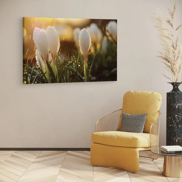 Multicolor_16_X_24_Inch,_Pine_Wood_Framed_Canvas_Paintings_|_For_Home_Decor,_Ready_To_Wall_Hanging,_Premium_Painting_|_For_|_Bedroom,_Living_Room,_Office_Wall_Decoration_|_Wall_Art_Painting,_Ct2339