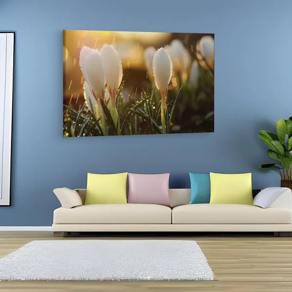 Multicolor_16_X_24_Inch,_Pine_Wood_Framed_Canvas_Paintings_|_For_Home_Decor,_Ready_To_Wall_Hanging,_Premium_Painting_|_For_|_Bedroom,_Living_Room,_Office_Wall_Decoration_|_Wall_Art_Painting,_Ct2339