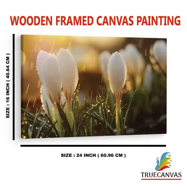 Multicolor_16_X_24_Inch,_Pine_Wood_Framed_Canvas_Paintings_|_For_Home_Decor,_Ready_To_Wall_Hanging,_Premium_Painting_|_For_|_Bedroom,_Living_Room,_Office_Wall_Decoration_|_Wall_Art_Painting,_Ct2339