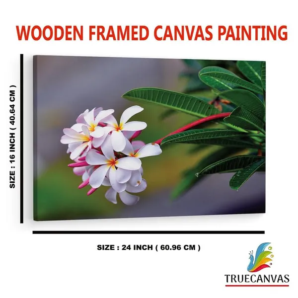 Multicolor_16_X_24_Inch,_Pine_Wood_Framed_Canvas_Paintings_|_For_Home_Decor,_Ready_To_Wall_Hanging,_Premium_Painting_|_For_|_Bedroom,_Living_Room,_Office_Wall_Decoration_|_Wall_Art_Painting,_Ct2341