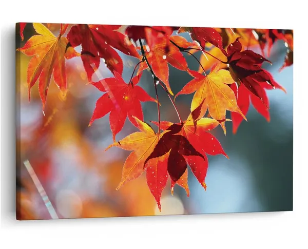 Multicolor_16_X_24_Inch,_Pine_Wood_Framed_Canvas_Paintings_|_For_Home_Decor,_Ready_To_Wall_Hanging,_Premium_Painting_|_For_|_Bedroom,_Living_Room,_Office_Wall_Decoration_|_Wall_Art_Painting,_Ct2342