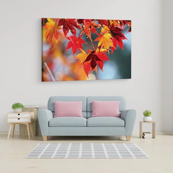 Multicolor_16_X_24_Inch,_Pine_Wood_Framed_Canvas_Paintings_|_For_Home_Decor,_Ready_To_Wall_Hanging,_Premium_Painting_|_For_|_Bedroom,_Living_Room,_Office_Wall_Decoration_|_Wall_Art_Painting,_Ct2342