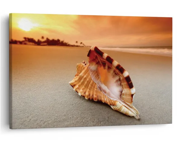 Multicolor_16_X_24_Inch,_Pine_Wood_Framed_Canvas_Paintings_|_For_Home_Decor,_Ready_To_Wall_Hanging,_Premium_Painting_|_For_|_Bedroom,_Living_Room,_Office_Wall_Decoration_|_Wall_Art_Painting,_Ct2343