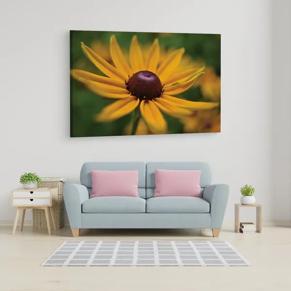 Multicolor_16_X_24_Inch,_Pine_Wood_Framed_Canvas_Paintings_|_For_Home_Decor,_Ready_To_Wall_Hanging,_Premium_Painting_|_For_|_Bedroom,_Living_Room,_Office_Wall_Decoration_|_Wall_Art_Painting,_Ct2344