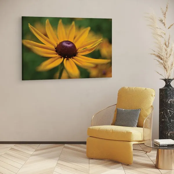 Multicolor_16_X_24_Inch,_Pine_Wood_Framed_Canvas_Paintings_|_For_Home_Decor,_Ready_To_Wall_Hanging,_Premium_Painting_|_For_|_Bedroom,_Living_Room,_Office_Wall_Decoration_|_Wall_Art_Painting,_Ct2344