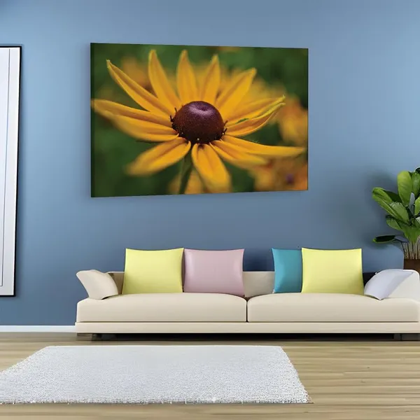 Multicolor_16_X_24_Inch,_Pine_Wood_Framed_Canvas_Paintings_|_For_Home_Decor,_Ready_To_Wall_Hanging,_Premium_Painting_|_For_|_Bedroom,_Living_Room,_Office_Wall_Decoration_|_Wall_Art_Painting,_Ct2344
