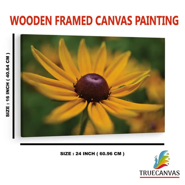 Multicolor_16_X_24_Inch,_Pine_Wood_Framed_Canvas_Paintings_|_For_Home_Decor,_Ready_To_Wall_Hanging,_Premium_Painting_|_For_|_Bedroom,_Living_Room,_Office_Wall_Decoration_|_Wall_Art_Painting,_Ct2344