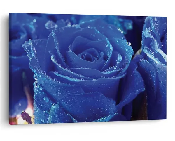 Multicolor_16_X_24_Inch,_Pine_Wood_Framed_Canvas_Paintings_|_For_Home_Decor,_Ready_To_Wall_Hanging,_Premium_Painting_|_For_|_Bedroom,_Living_Room,_Office_Wall_Decoration_|_Wall_Art_Painting,_Ct2345