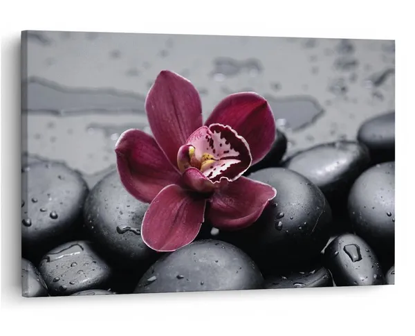 Multicolor_16_X_24_Inch,_Pine_Wood_Framed_Canvas_Paintings_|_For_Home_Decor,_Ready_To_Wall_Hanging,_Premium_Painting_|_For_|_Bedroom,_Living_Room,_Office_Wall_Decoration_|_Wall_Art_Painting,_Ct2349