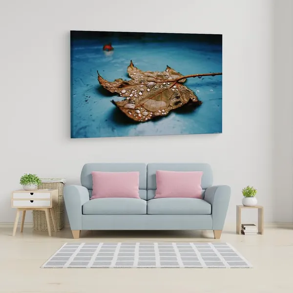 Multicolor_16_X_24_Inch,_Pine_Wood_Framed_Canvas_Paintings_|_For_Home_Decor,_Ready_To_Wall_Hanging,_Premium_Painting_|_For_|_Bedroom,_Living_Room,_Office_Wall_Decoration_|_Wall_Art_Painting,_Ct2350