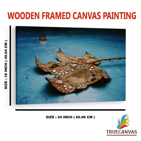Multicolor_16_X_24_Inch,_Pine_Wood_Framed_Canvas_Paintings_|_For_Home_Decor,_Ready_To_Wall_Hanging,_Premium_Painting_|_For_|_Bedroom,_Living_Room,_Office_Wall_Decoration_|_Wall_Art_Painting,_Ct2350