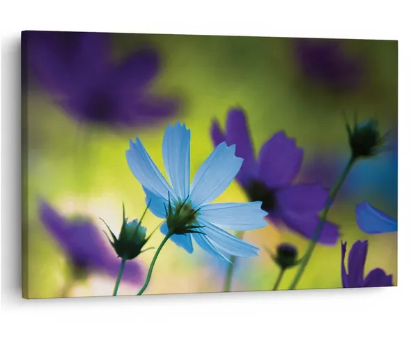 Multicolor_16_X_24_Inch,_Pine_Wood_Framed_Canvas_Paintings_|_For_Home_Decor,_Ready_To_Wall_Hanging,_Premium_Painting_|_For_|_Bedroom,_Living_Room,_Office_Wall_Decoration_|_Wall_Art_Painting,_Ct2353