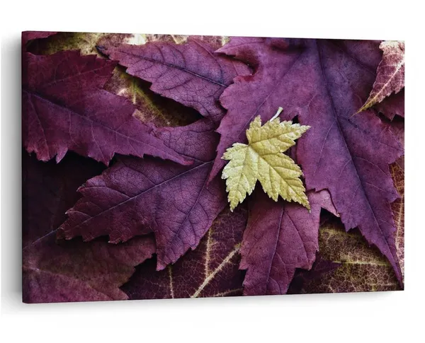 Multicolor_16_X_24_Inch,_Pine_Wood_Framed_Canvas_Paintings_|_For_Home_Decor,_Ready_To_Wall_Hanging,_Premium_Painting_|_For_|_Bedroom,_Living_Room,_Office_Wall_Decoration_|_Wall_Art_Painting,_Ct2355