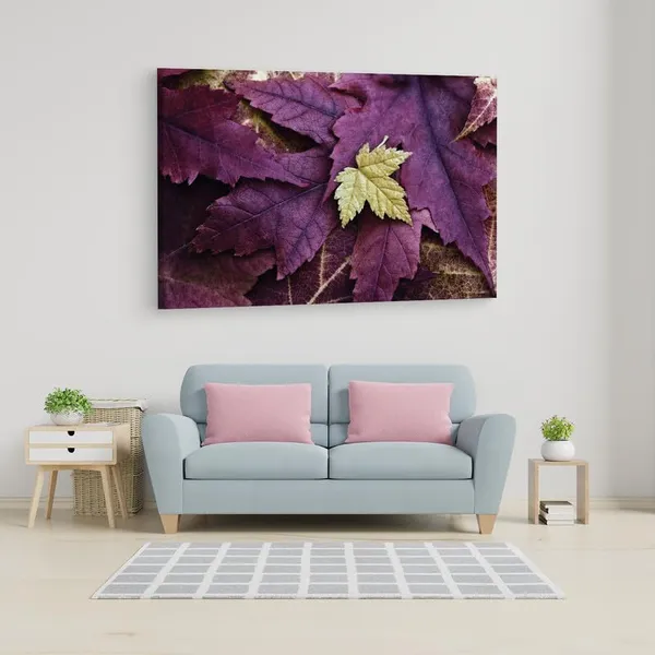 Multicolor_16_X_24_Inch,_Pine_Wood_Framed_Canvas_Paintings_|_For_Home_Decor,_Ready_To_Wall_Hanging,_Premium_Painting_|_For_|_Bedroom,_Living_Room,_Office_Wall_Decoration_|_Wall_Art_Painting,_Ct2355