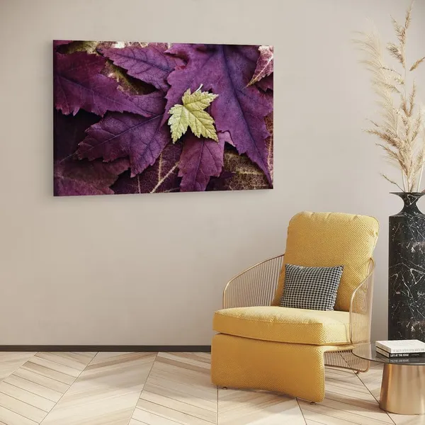 Multicolor_16_X_24_Inch,_Pine_Wood_Framed_Canvas_Paintings_|_For_Home_Decor,_Ready_To_Wall_Hanging,_Premium_Painting_|_For_|_Bedroom,_Living_Room,_Office_Wall_Decoration_|_Wall_Art_Painting,_Ct2355
